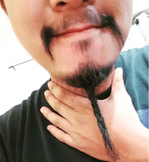 men braided goatee style