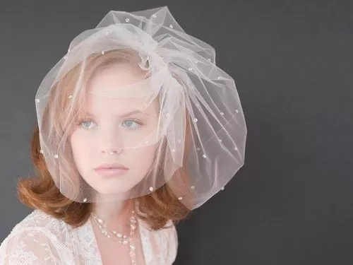 Birdcage Veil Ideas (1)