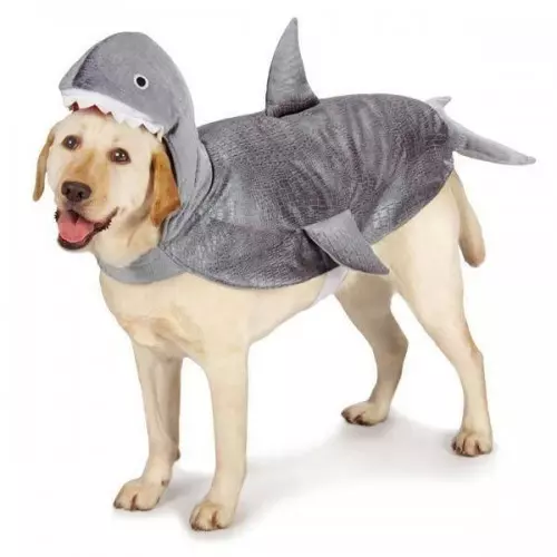 Funny Outfit Ideas for Dogs (17)