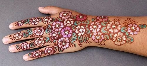 Colourful Henna And Mehndi Designs (38)