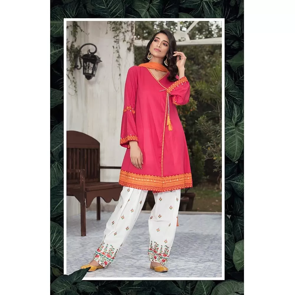 Shalwar Kameez Neck Designs for Girls (25)