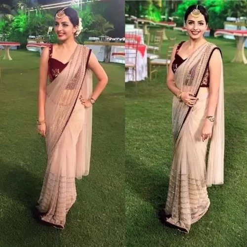 How To Wear A Net Saree