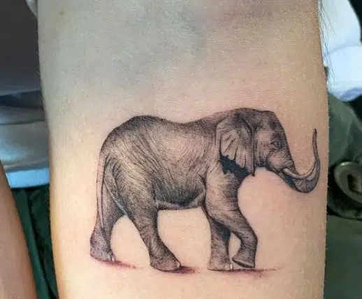 Elephant tattoo ideas