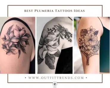 20 Best Plumeria Tattoos Designs with Tips