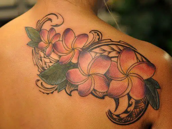 plumeria tattoos