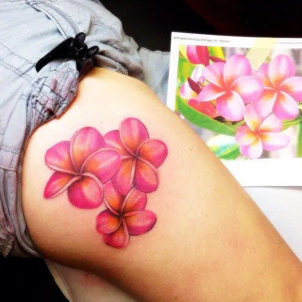 plumeria tattoos