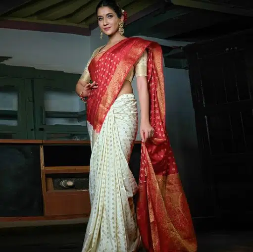 Silk Saree Designs