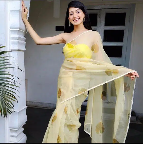 Ways To Style An Organza Saree